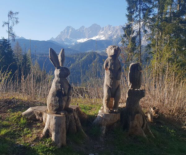 Der Märchenwanderweg in Rohrmoos ist perfekt geeignet für Familien, danach empfehlen wir die Einkehr auf der Tauernalm